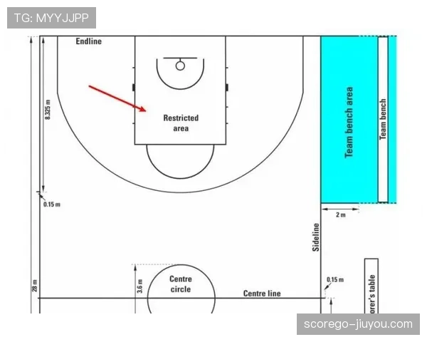 NBA与FIBA罚球规则有哪些关键区别？详细解析